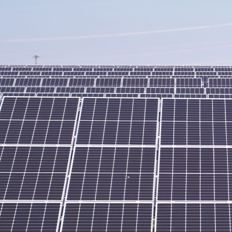 Stoppt Reiches Angriff auf die Sonnenenergie!