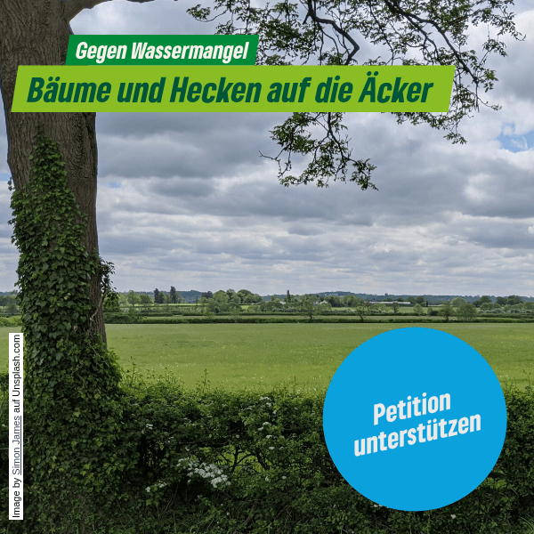 Gegen Wassermangel: Bäume und Hecken auf die Äcker!
