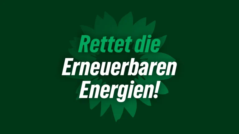 Reiches „Netzpaket“ – der Energiewende-Killer