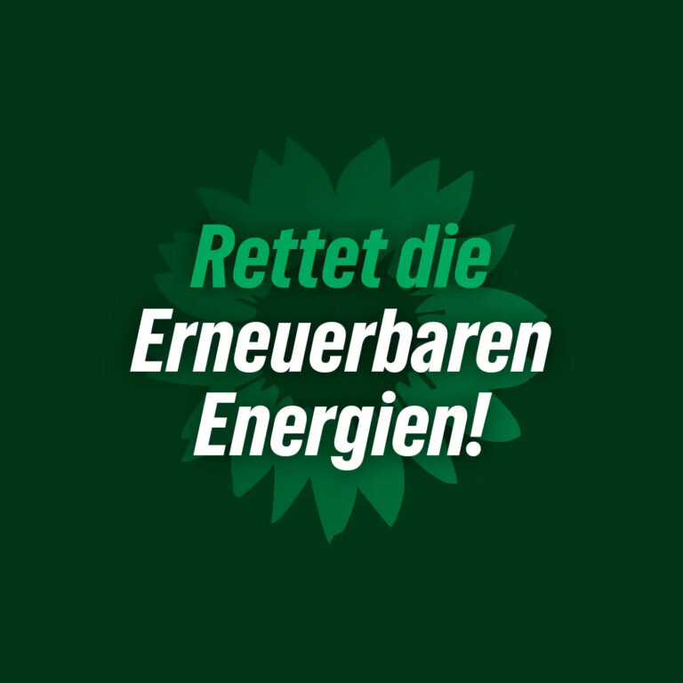Reiches „Netzpaket“ – der Energiewende-Killer